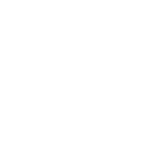11月
