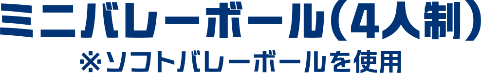 ミニバレーボール（4人制）※ソフトバレーボールを使用